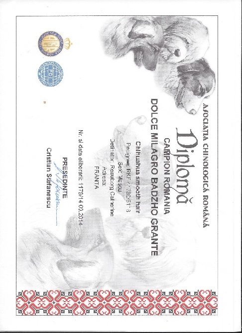Des Barons De Maule - DOLCE MILAGRO BADZHO GRANTE - Grand Champion International et Roumain